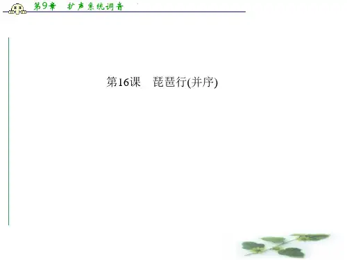 高中语文粤教必修3课件 第16课 琵琶行(并序)