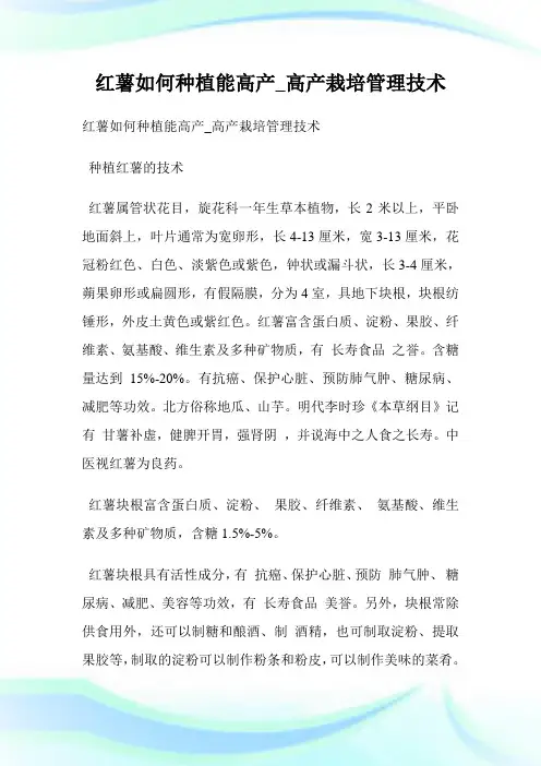 红薯如何种植能高产_高产栽培管理技术.doc