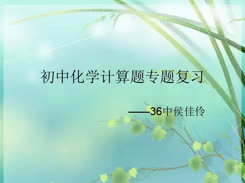 初中化学计算题专题复习 PPT课件 图文