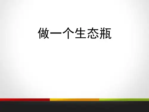 《做一个生态瓶》生物与环境课件PPT