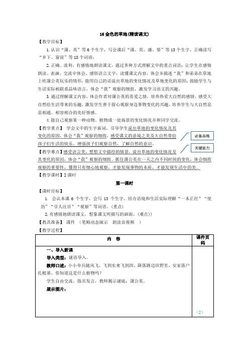16.金色的草地(教案)