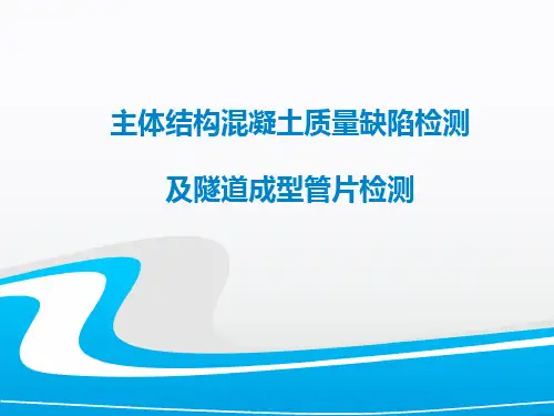 主体结构混凝土质量缺陷.精讲