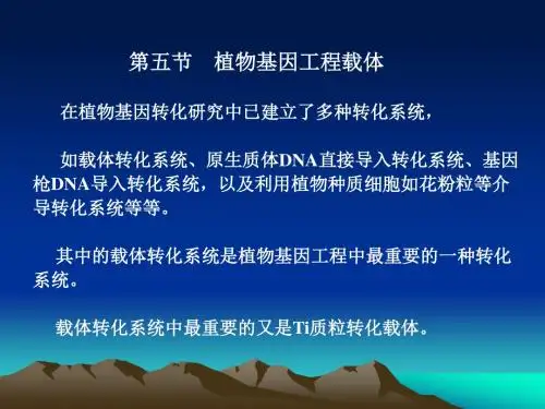 植物表达载体构建