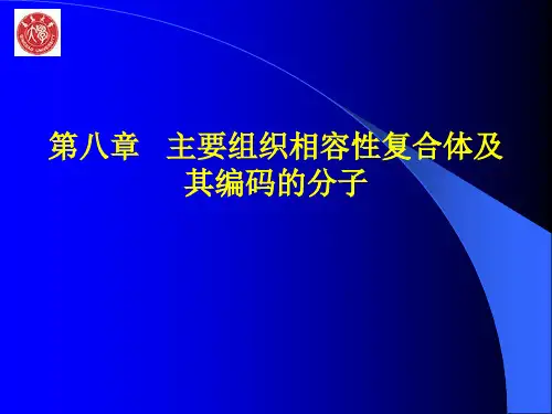MHC(研究生)