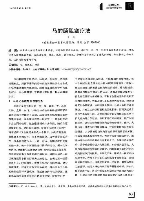 马的肠阻塞疗法