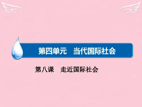 高考政治一轮总复习(考点预测突破+易错纠偏)第8课 走进国际社会课件 新人教版必修2