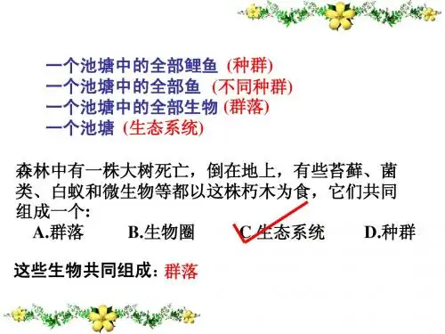 人教版教学课件第一节生态系统的结构课件
