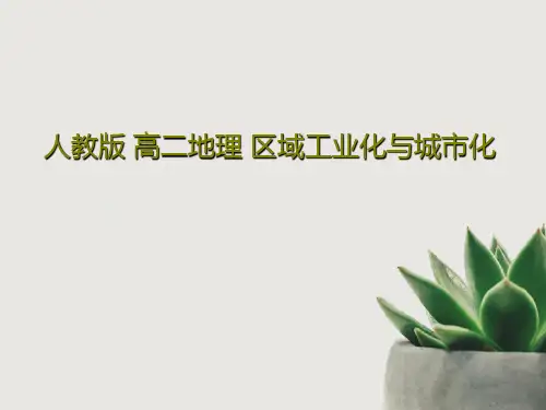 人教版 高二地理 区域工业化与城市化PPT共22页