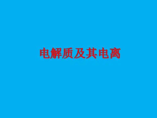 高中化学 电解质及其电离