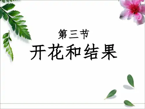 人教版初中生物七上3.2.3 开花和结果 课件 (共35张PPT)PPT