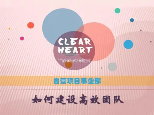 如何建立高效团队