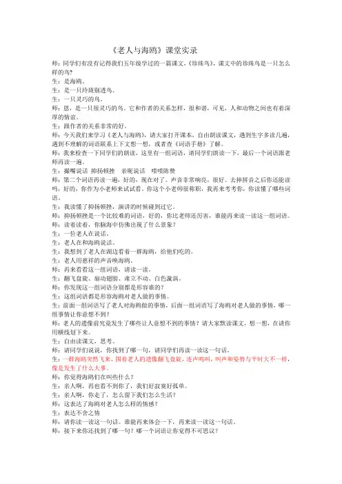 课堂实录老人与海鸥