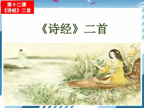 12 《诗经》二首