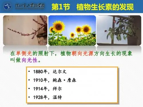 深圳优质微课件   生物第1节植物生长素的发现