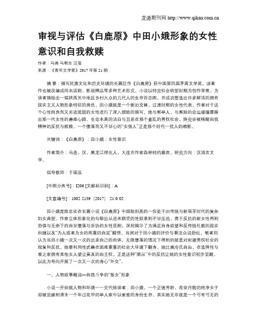 审视与评估《白鹿原》中田小娥形象的女性意识和自我救赎