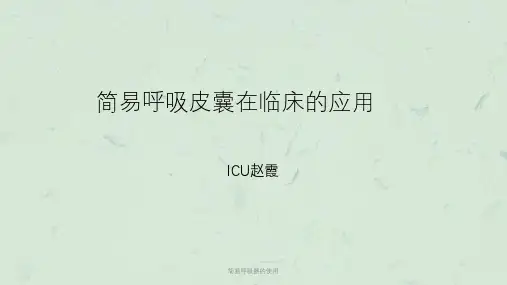 简易呼吸器的使用课件