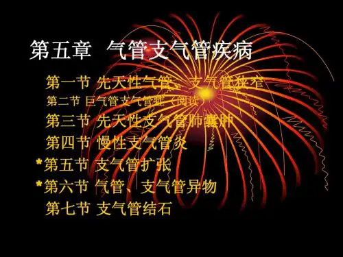 呼吸系统影像诊断 (3)