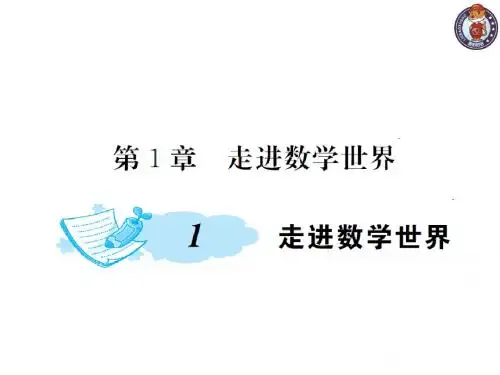 七年级数学上册 1 走进数学世界课件 (新版)华东师大版