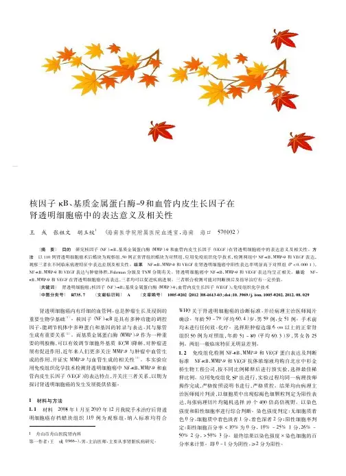 核因子κB、基质金属蛋白酶-9和血管内皮生长因子在肾透明细胞癌中的表达意义及相关性
