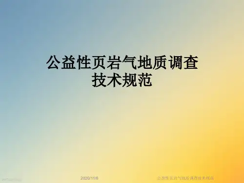 公益性页岩气地质调查技术规范
