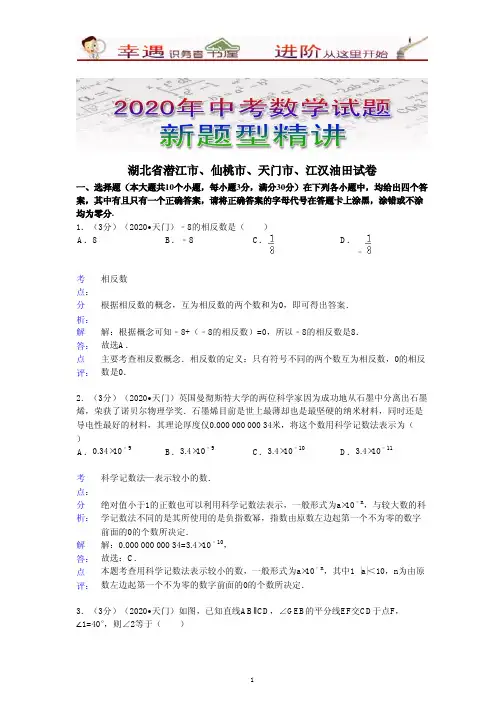 2020年中考数学新题型精讲含解析点评【潜江仙桃卷】