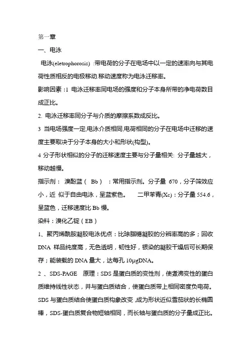 基因工程复习笔记