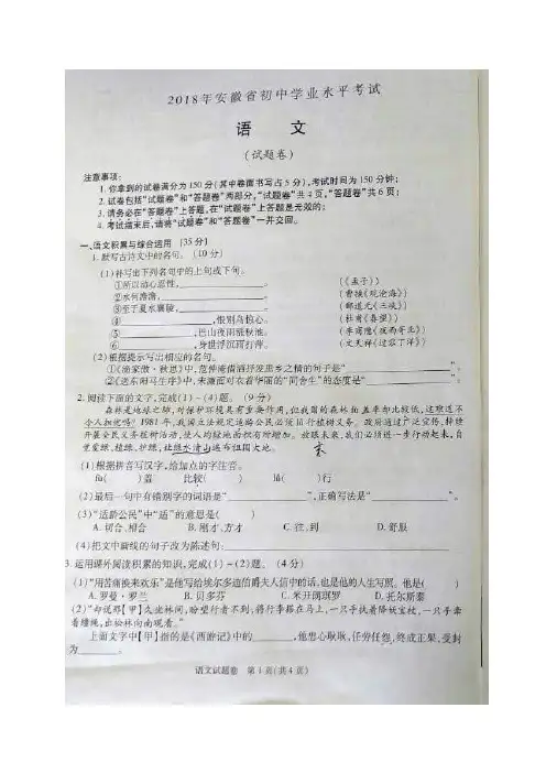 安徽省2018年初中学业水平测试语文试卷(含答案)