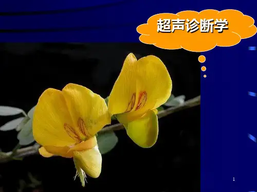 超声基础3