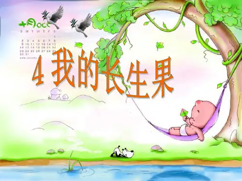 人教新课标五年级语文上册《我的长生果》课件