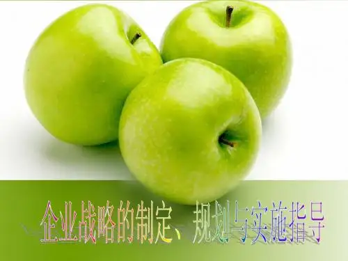 8-企业战略的制定、规划与实施指导