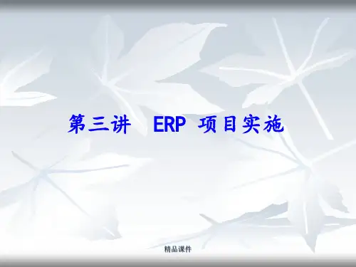 第三讲ERP项目实施ppt课件