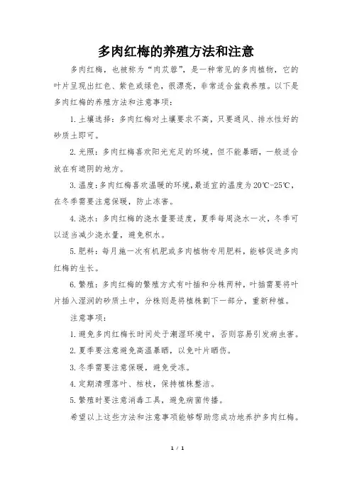 多肉红梅的养殖方法和注意