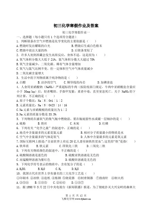 初三化学寒假作业及答案