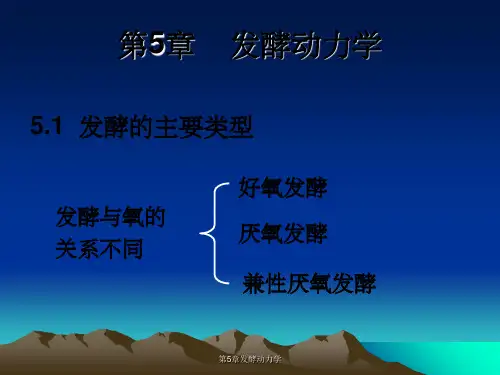 第5章发酵动力学