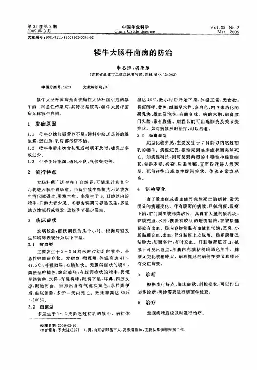 犊牛大肠杆菌病的防治