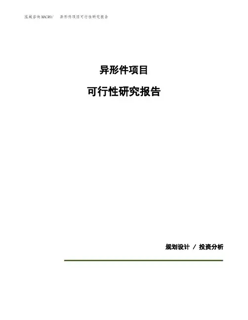 异形件项目可行性研究报告模板范文(立项备案项目申请)