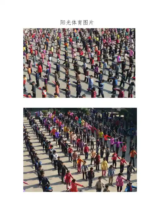阳光体育图片