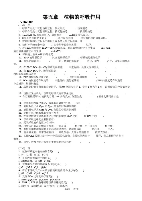 七年级(初一)生物 第五章植物的呼吸作用-练习题(有答案)