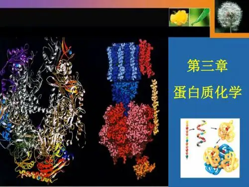 第三章蛋白质化学