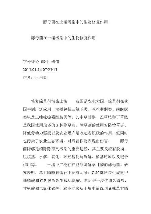 酵母菌在土壤污染中的生物修复作用