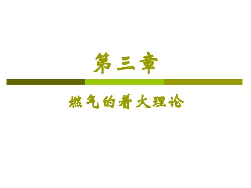 燃烧理论第三讲着火理论