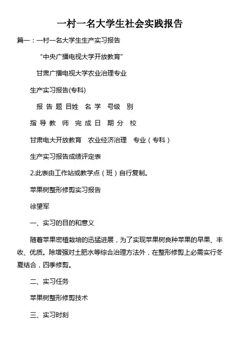 一村一名大学生社会实践报告