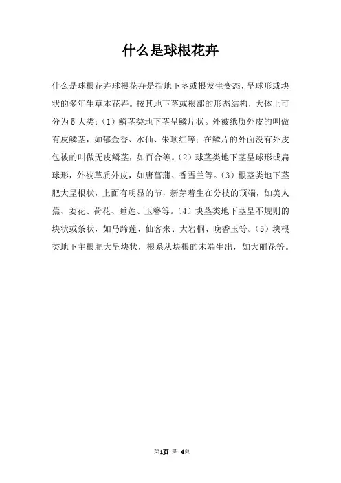 什么是球根花卉