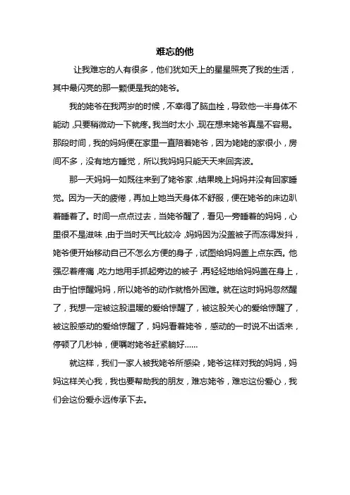 五年级作文：难忘的他作文500字
