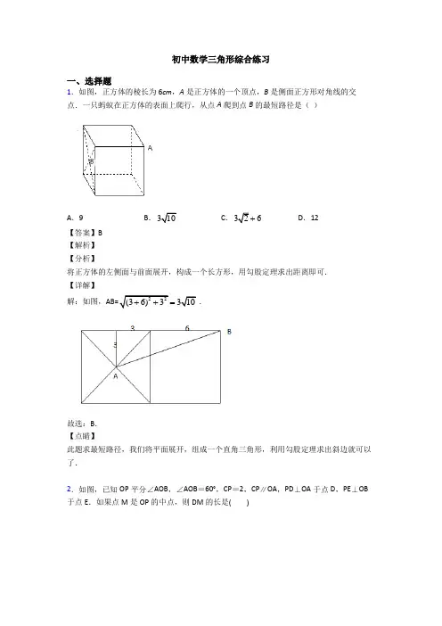 初中数学三角形综合练习