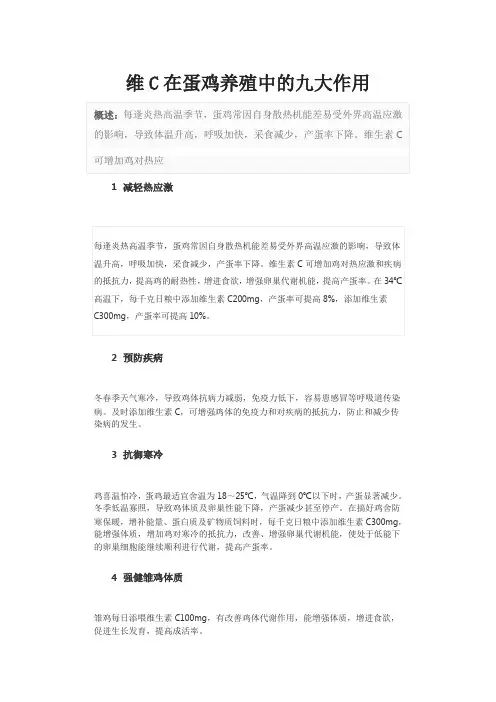 维C在蛋鸡养殖中的九大作用