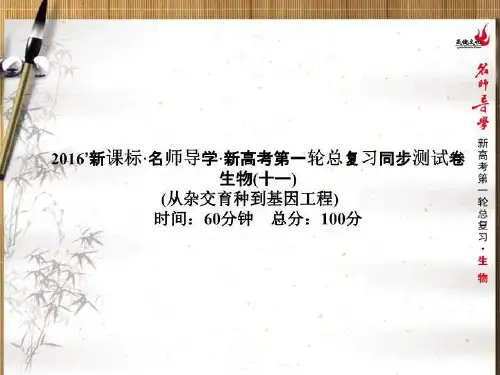 【名师导学】2016新课标高考第一轮生物总复习课件：同步测试卷11