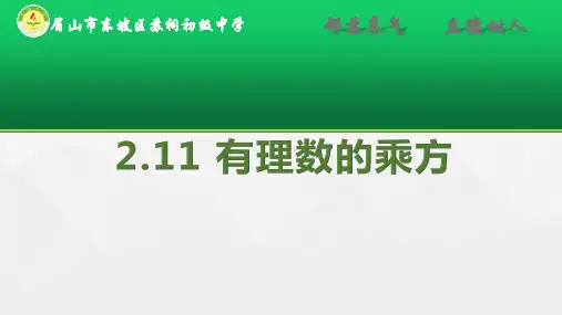 华东师大版数学七年级上册 2.11 有理数的乘方  课件