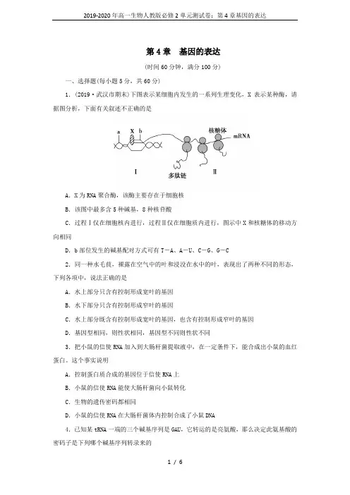 2019-2020年高一生物人教版必修2单元测试卷：第4章基因的表达