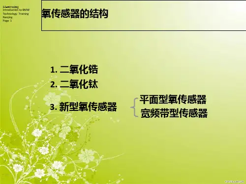 氧传感器.ppt